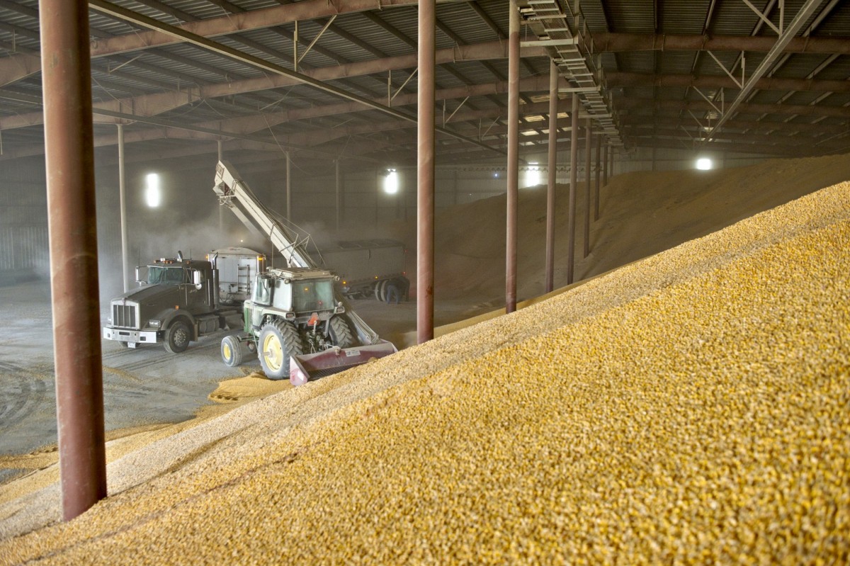 Основні фактори, що впливають на тривалість зберігання зерна